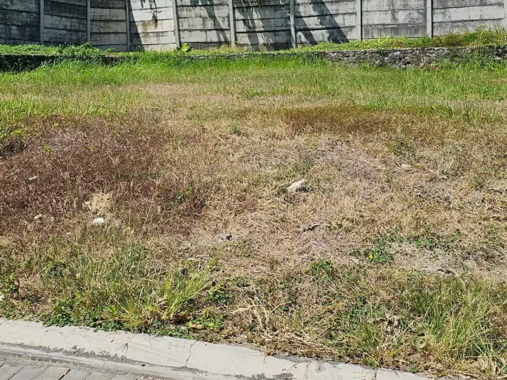 Harga Bisa Nego Lagi Aja Kavling Citraland Utama Woodland