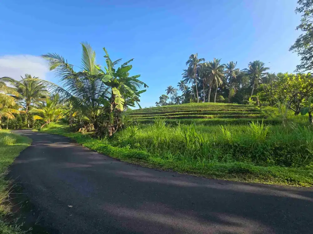 Dijual tanah kecil  sawah dan kebun di lingkungan villa tabanan bali