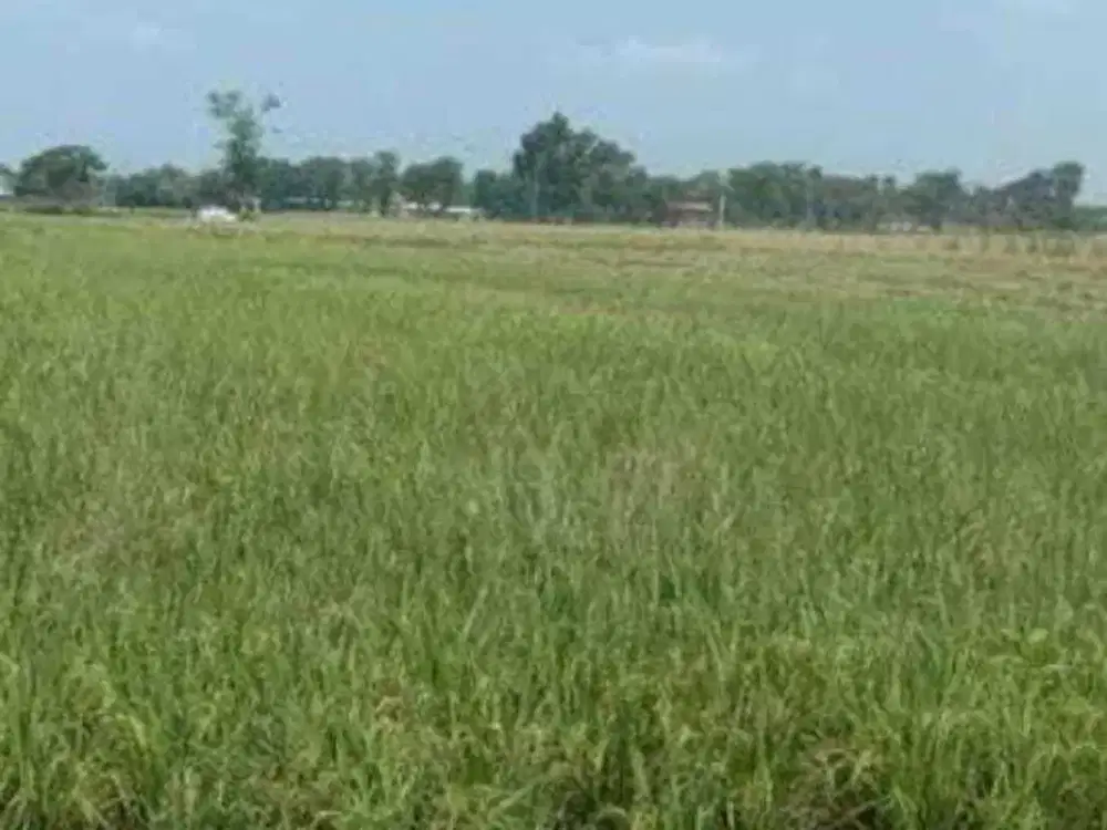 Double Way Tanah CitraLand Puncak Golf di Surabaya Barat