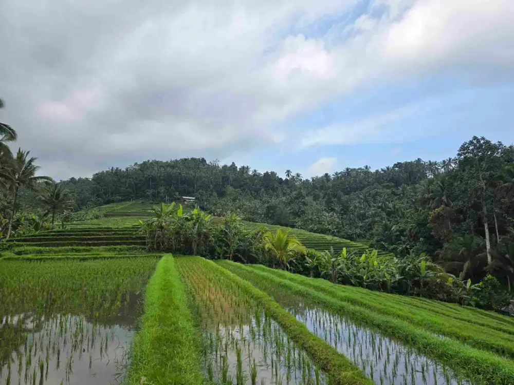 dijual tanah murah view cantik di tabanan bali