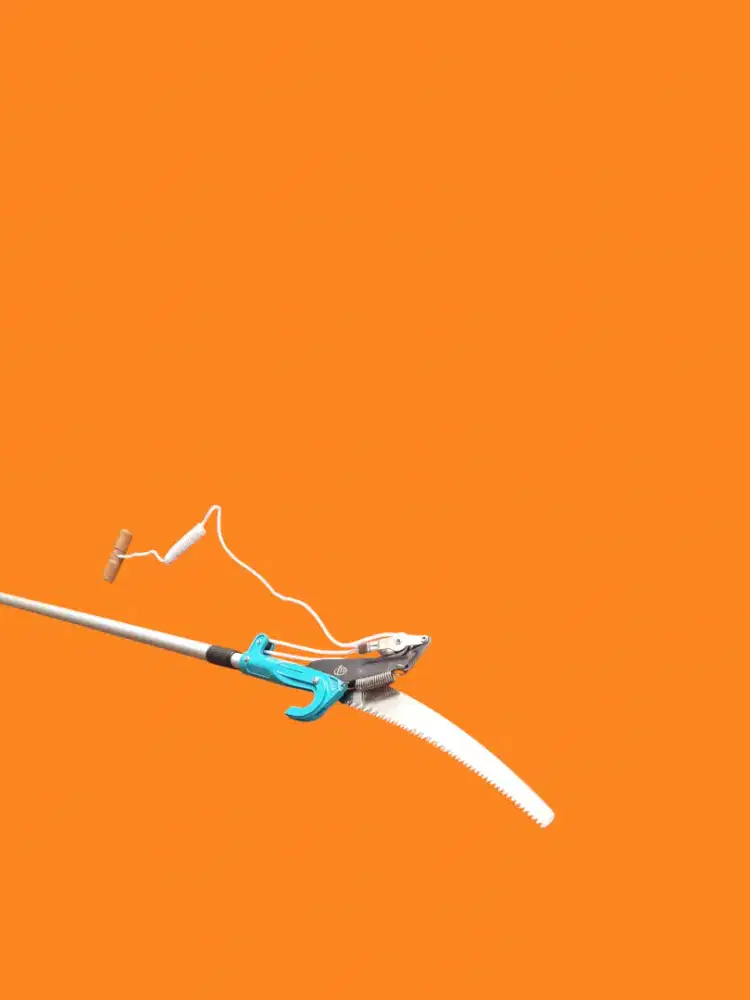 Gergaji gunting teleskopik 3 Meter