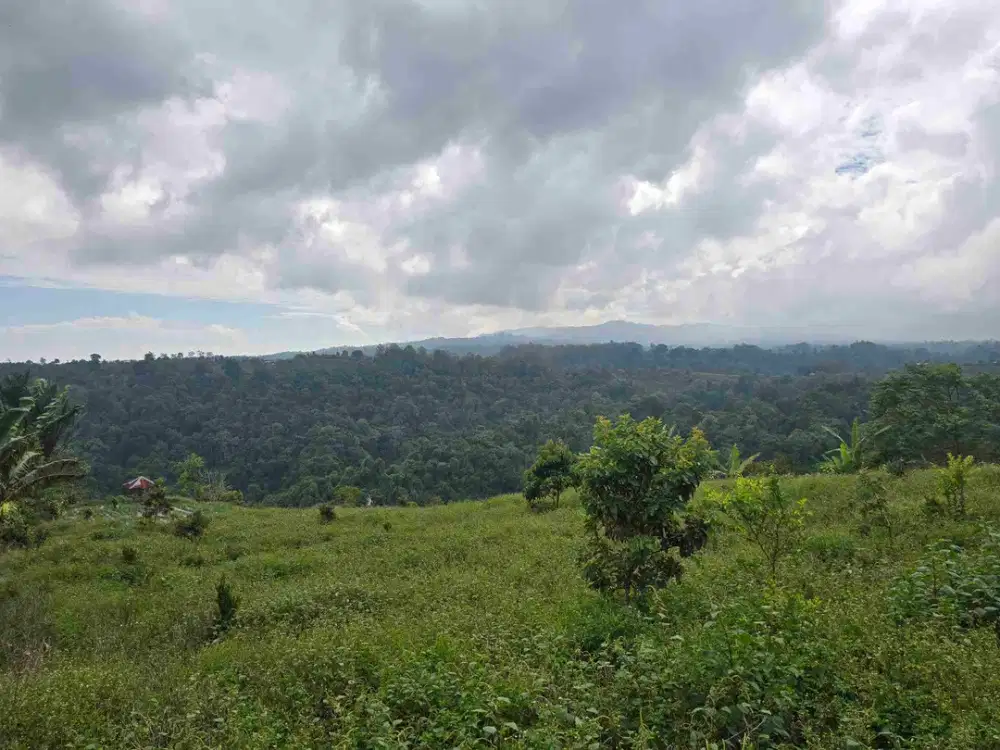 Dijual tanah view lembah sangat cantik di kintamani bali