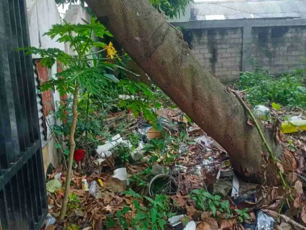 Tanah murah 663mtr 6,5jt/m di lenteng agung jagakarsa jaksel arah UI