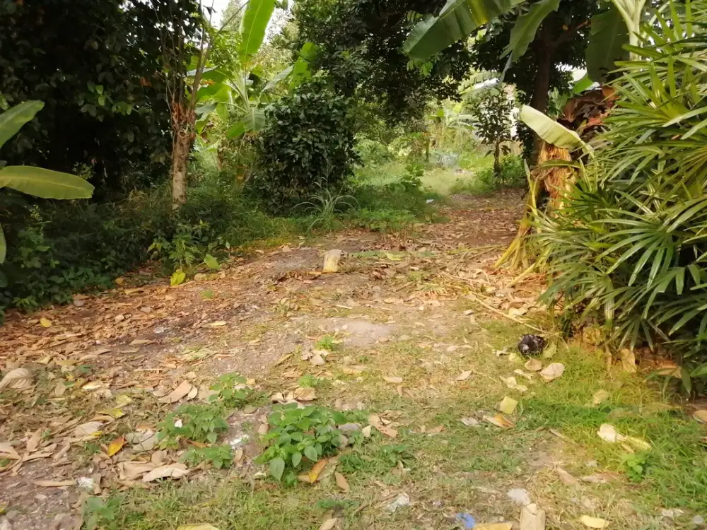 Dijual tanah di Daerah Pamulang LST/S/3874