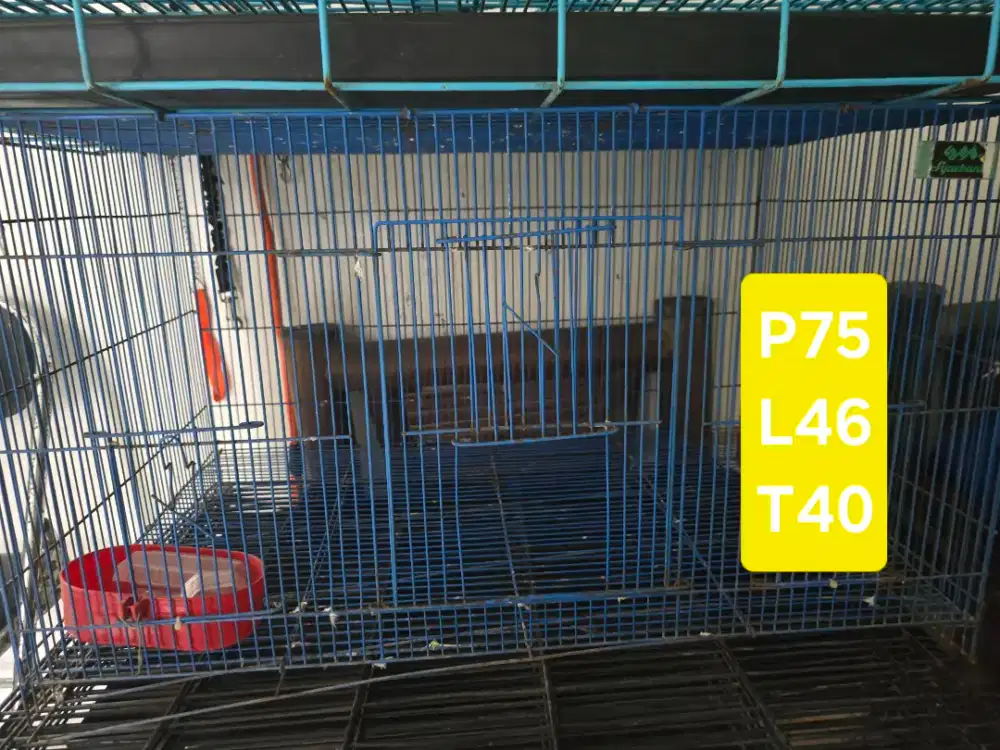 Kandang burung murah