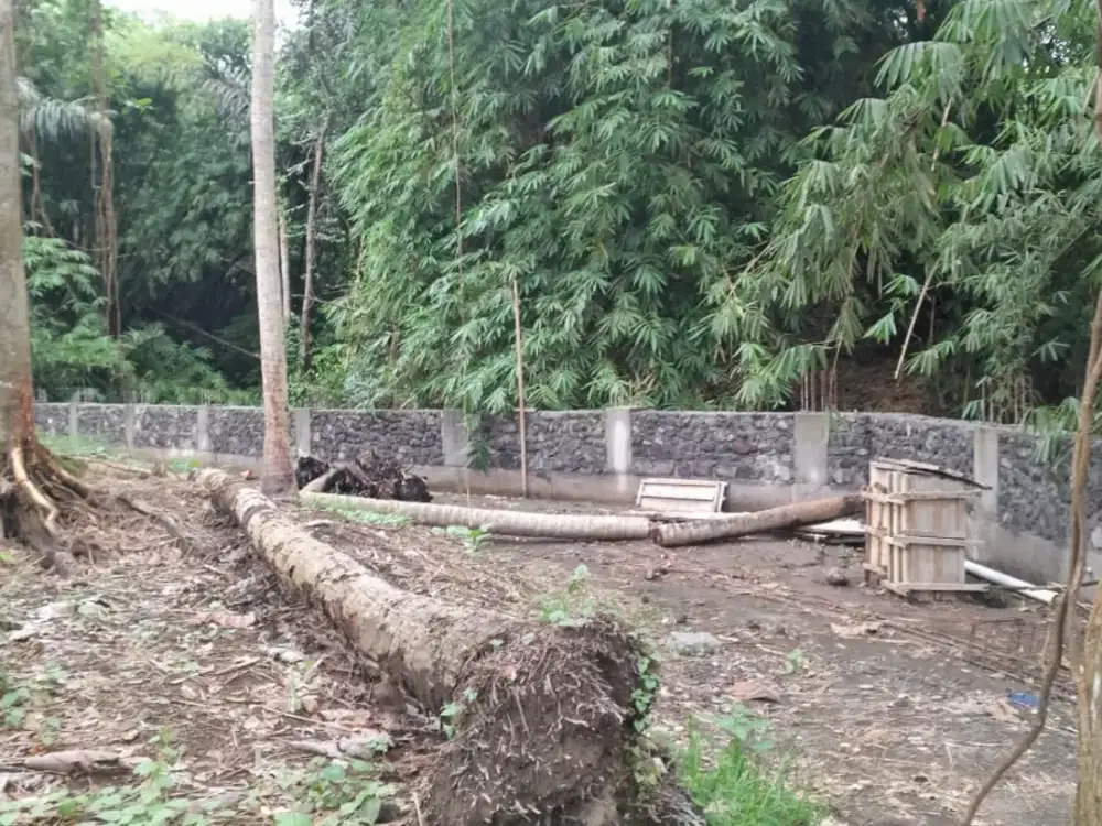 Tanah 2,85 are buduk dekat tumbak bayuh