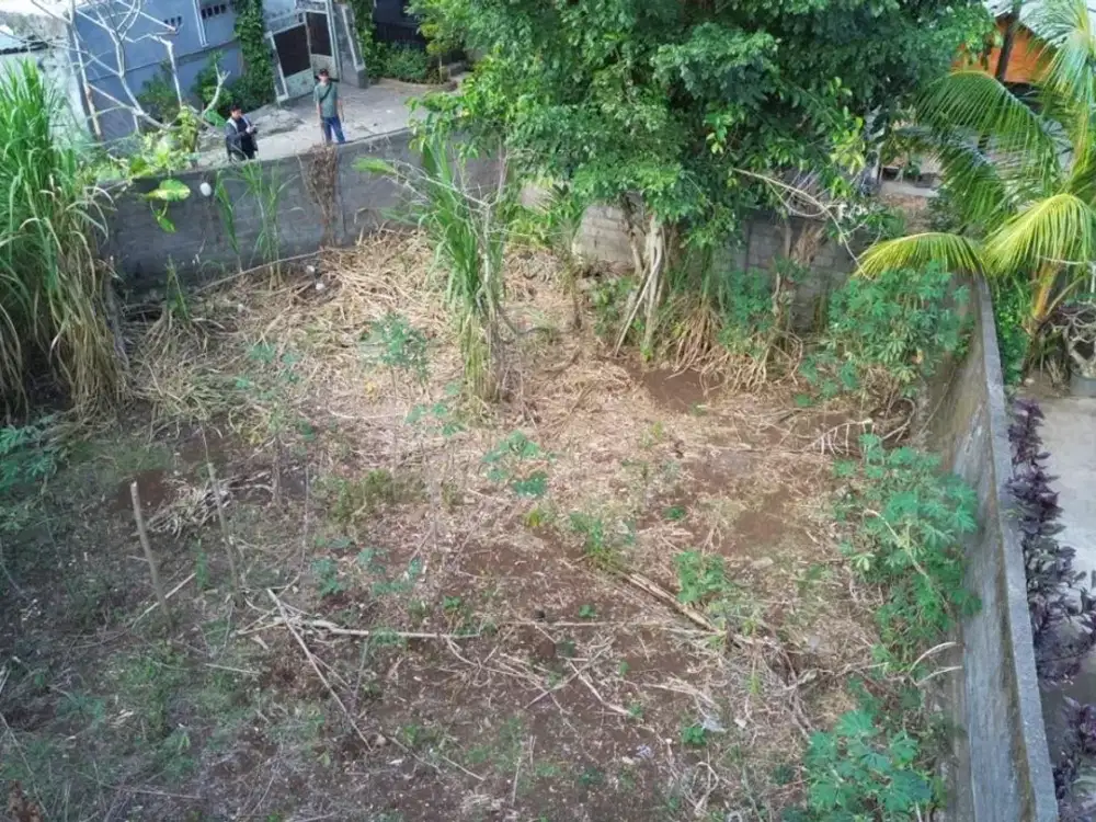 TANAH SEWA 3,85 ARE BELIMBING SARI