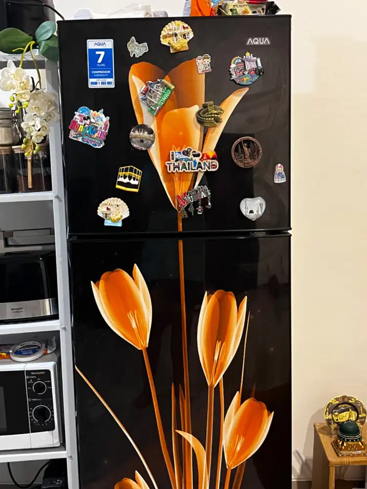 KULKAS MASIH BAGUS BANGET DINGIN BANGET TANPA BUNGA ES