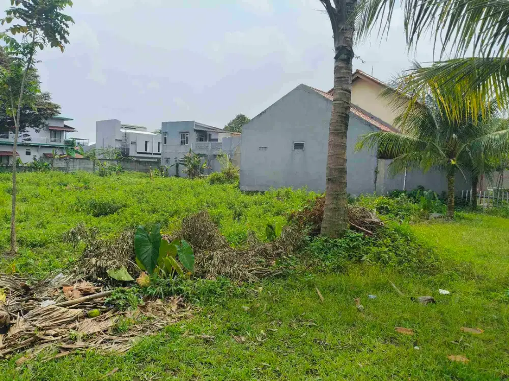 Mulai Investasi! Kavling Produktif 100m² di Dramaga, 10 Menit dari IPB