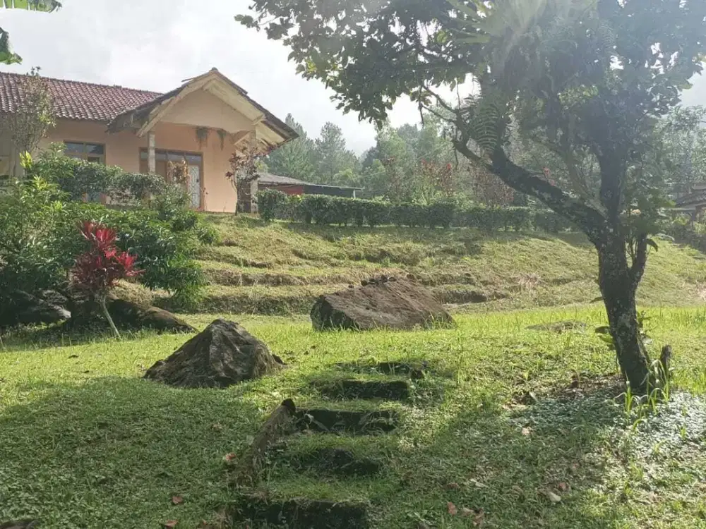 Villa Murah Halaman luas di Megamendung Bogor Dekat Wisata