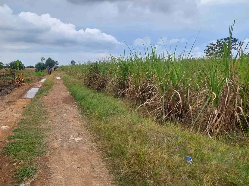 Tanah kebun kertajati majalengka akses mobil