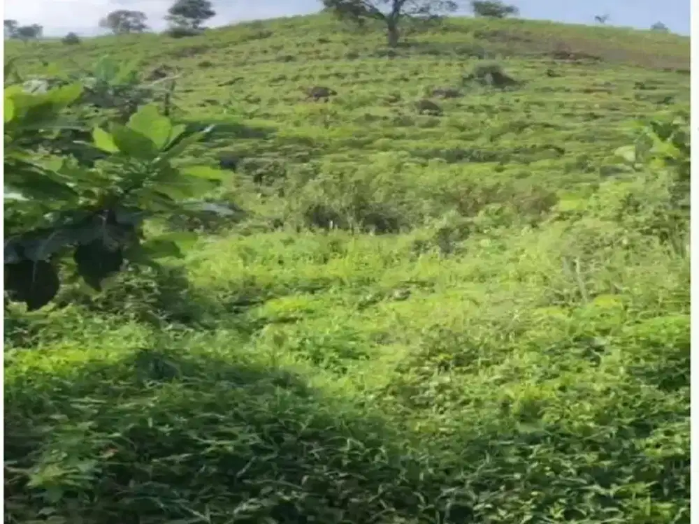 JUAL Kavling Sentul Bogor