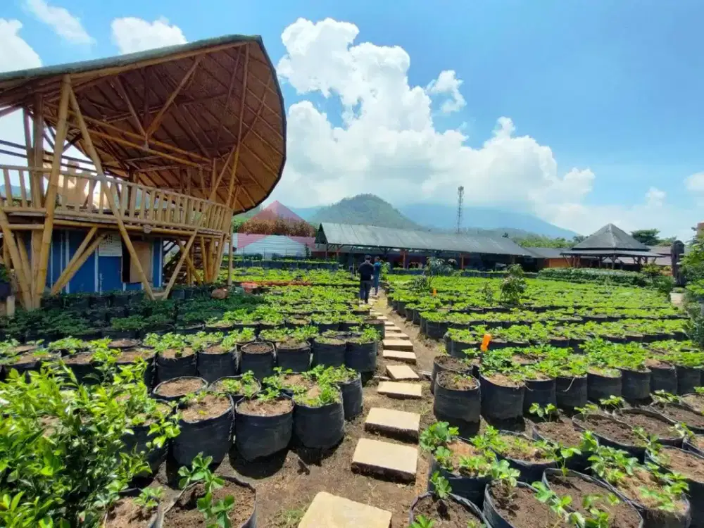 Ruang usaha dengan View sangat indah di lokasi yang sejuk di Pujon Kidul
