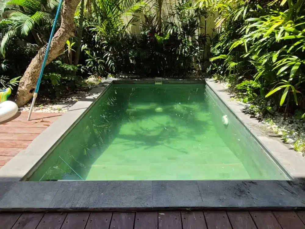 Rental - Private home, Quiet, and Close to Canggu, Bali