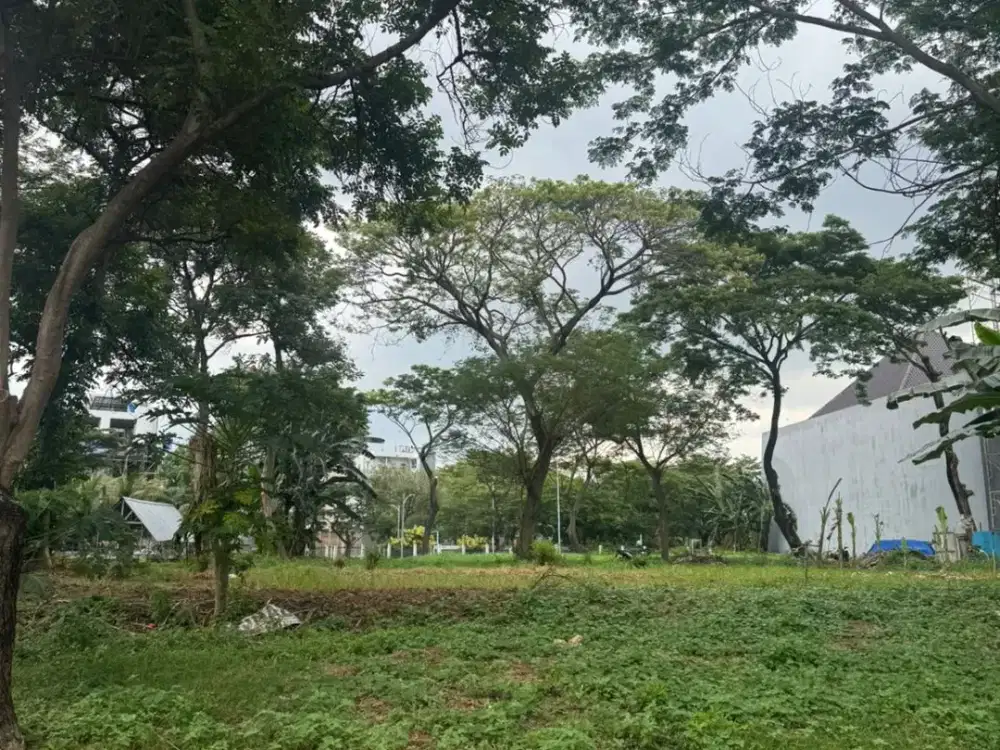 Dijual tanah posisi hook di Perumahan The Forest Ancol