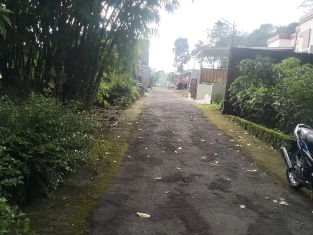 tanah pekarangan di jual di nangsri manisrenggo