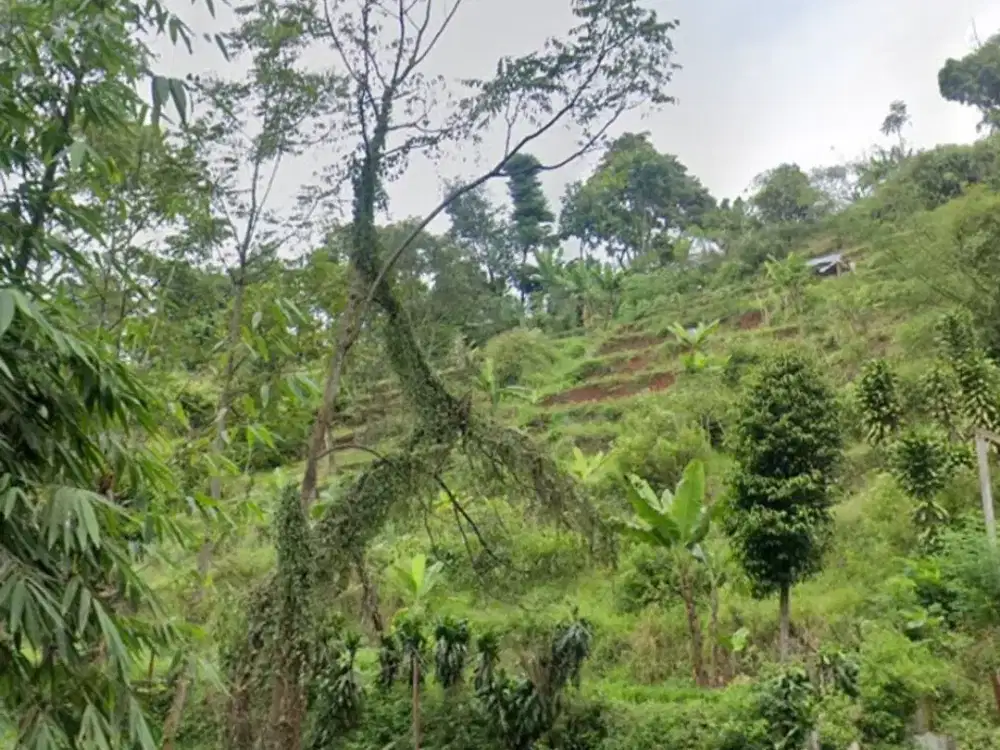 Dijual Tanah Berbukit di Desa Pagerwangi Lembang