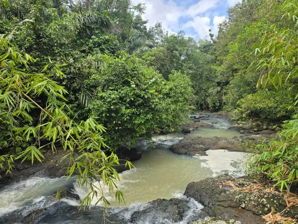 Dijual tanah view sungai dekat villa galalima glamping bali