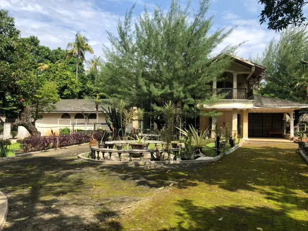 Dijual Rumah Murah Harga NJOP di Jagakarsa Raya