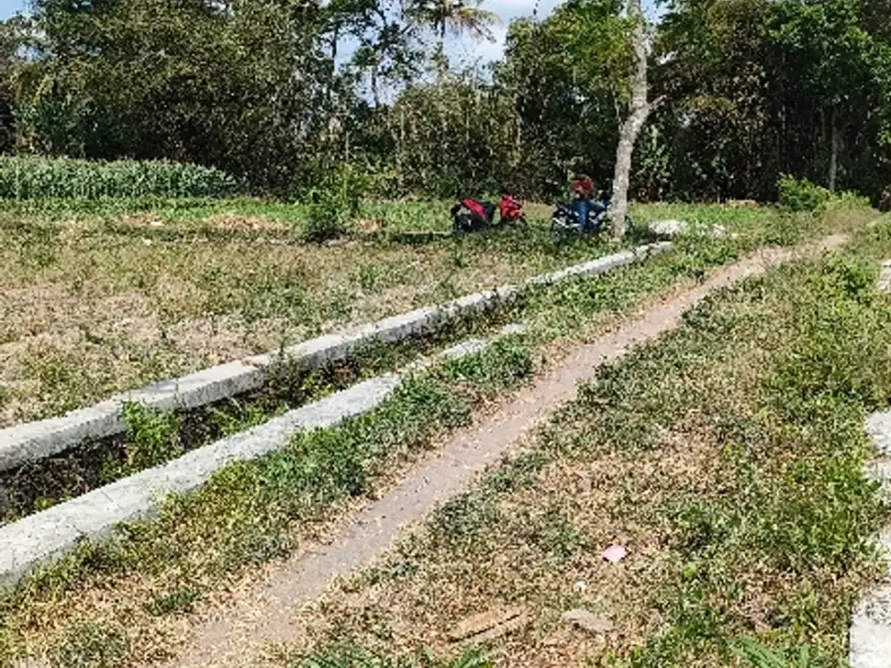 Dijual tanah pekarangan murah di manisrenggo 199m