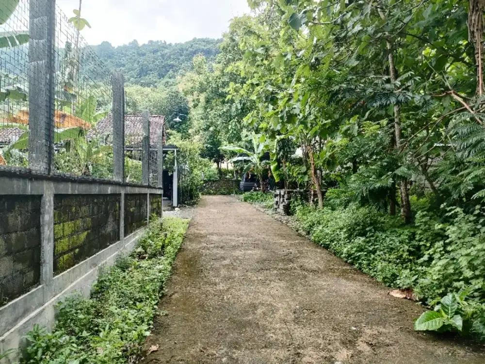 Dijual tanah pekarangan di prambanan timur suasana kawasaan pedesaan
