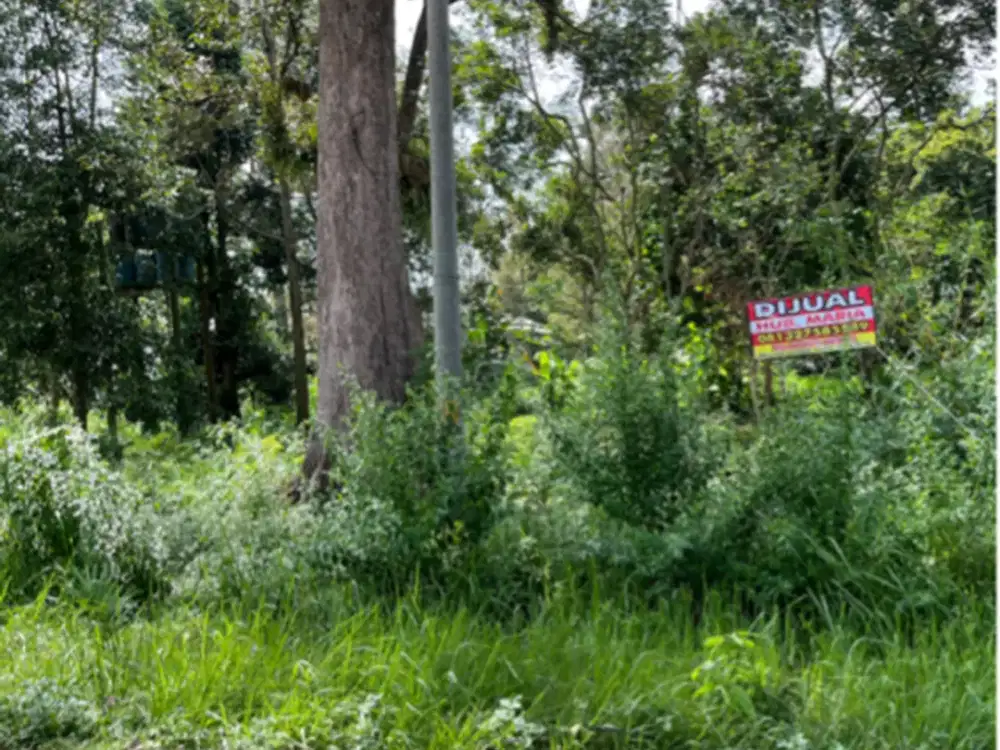 dijual tanah dijumantono