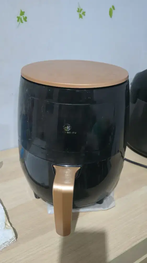 Air fryer hand river