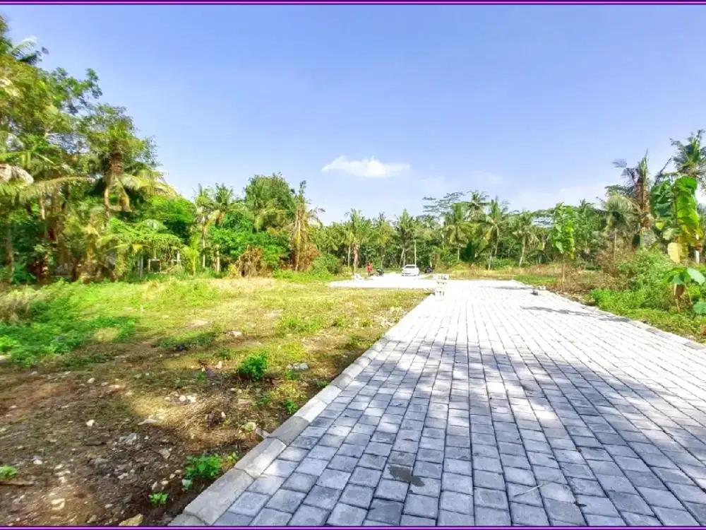 TanahDijual Dekat Kampus UAD 4 Kulon Progo 900 Rb-an