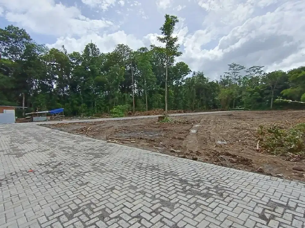 Tanah Utara UGM Lokasi Strategis Sardonoharjo Sleman