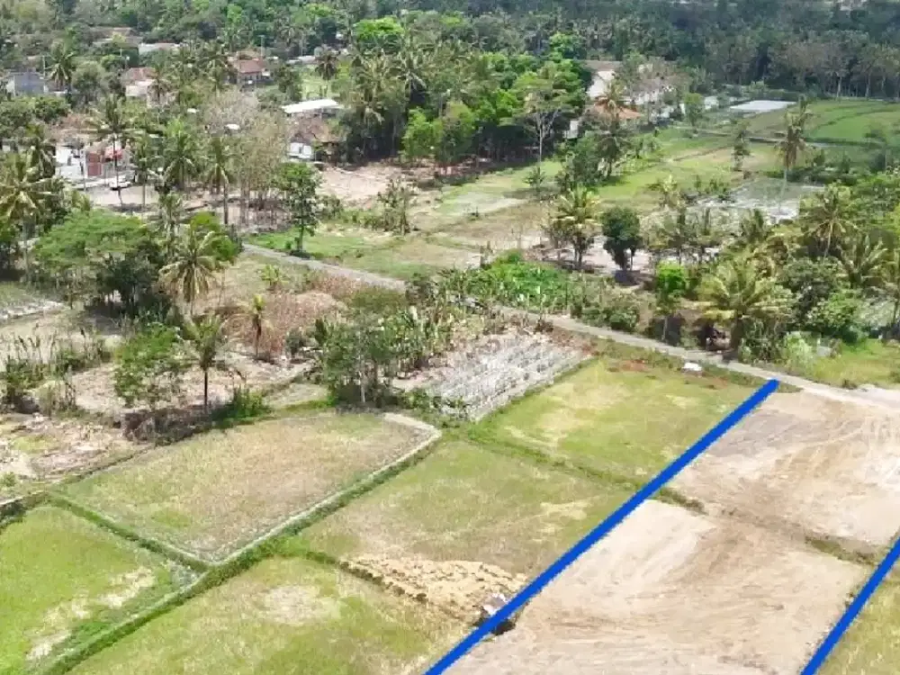 Lokasi Premium Untuk Rumah di Pandanaran Jogja