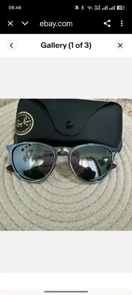 Rayband Erika Sunglasses