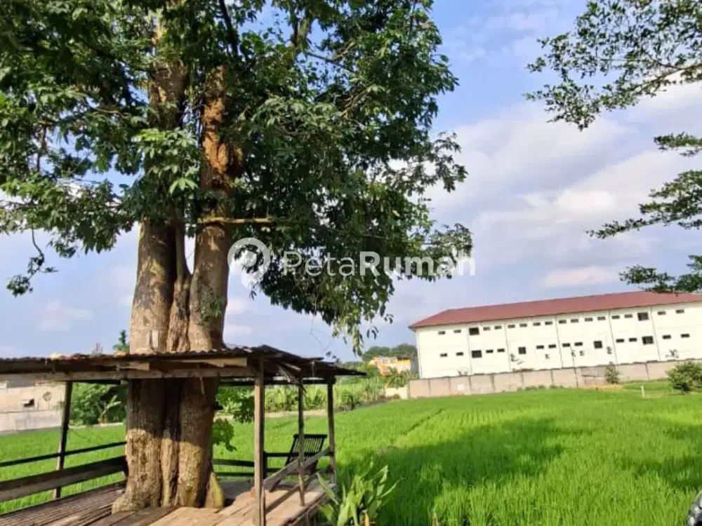 DIJUAL TANAH JALAN IKAHI II - PADANG BULAN SELAYANG (MEIKY)