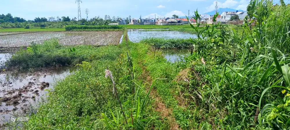 SUPER MURAH TANAH CISARANTEN ARCAMANIK