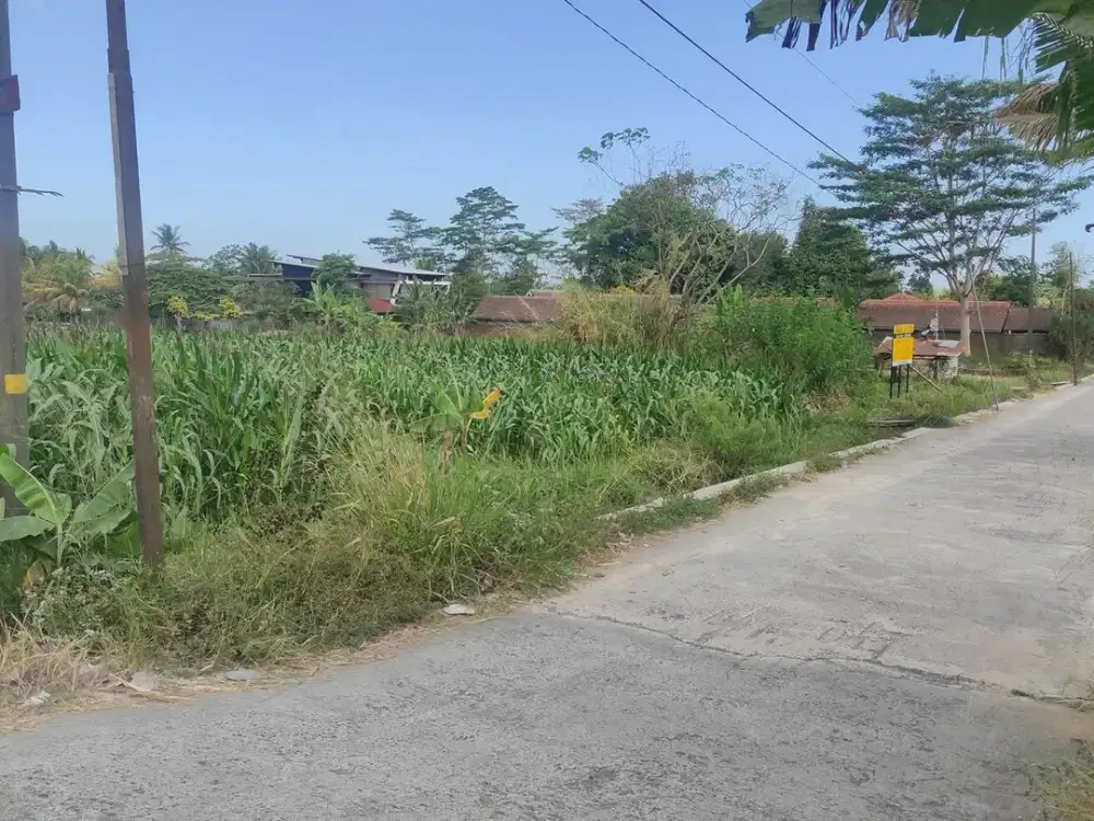 Tanah Sawah Luas 2440 Meter persegi Lokasi Dekat Kopi Klotok Pakem