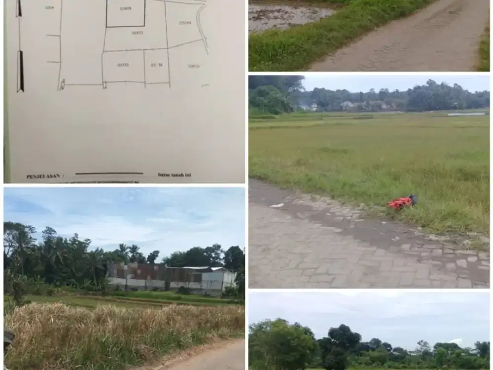 Dijual SAWAH di CISOKA, BOJONGLOA