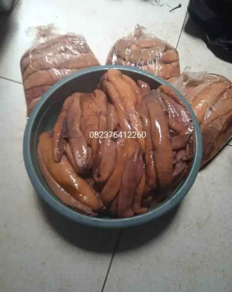 Jual Telok gabus dan Telok tenggiri