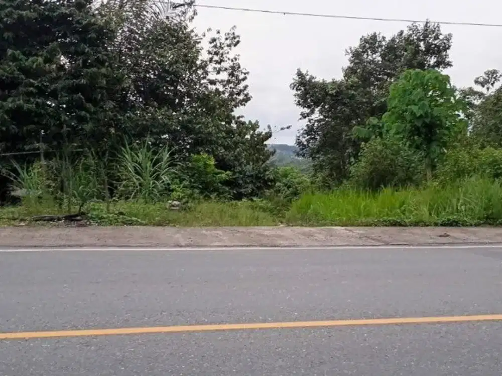 DIJUAL TANAH JALAN SAMBOJA – SEPAKU KILO KM 38 – MN