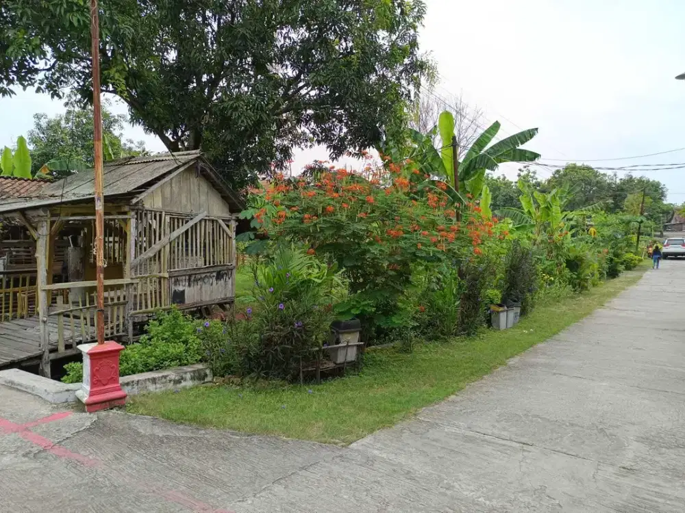 lokasi sejuk, lingkungan bagus untuk rumah,dekat  Stasiun Saradan, Kab Madiun