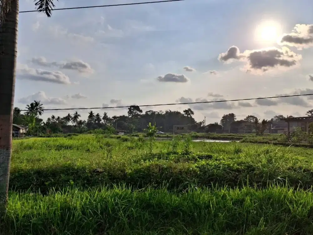 Tanah Luas 774 Meter Persegi Lokasi Krandon Wedomartani Sleman
