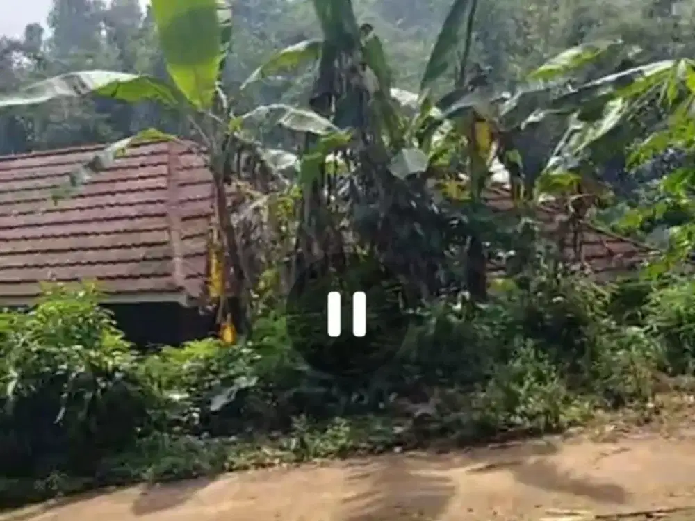 Dijual rumah kebun strategis view pegunungan dekat wisata Wonosalam, Jombang