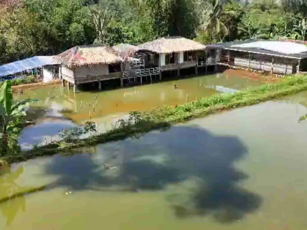 Jual Tempat Usaha Koi dan Villa, Desa Cikembang, Caringin, Sukabumi, Jawa Barat