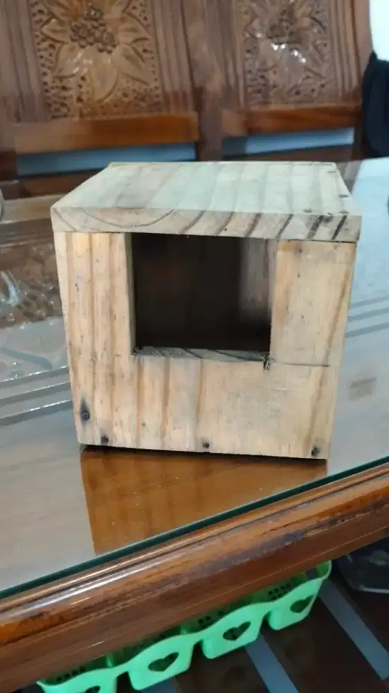 Glodok burung finch atau kecil