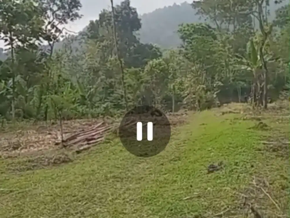 Dijual tanah rata luas view pegunungan sejuk Wonosalam, Jombang