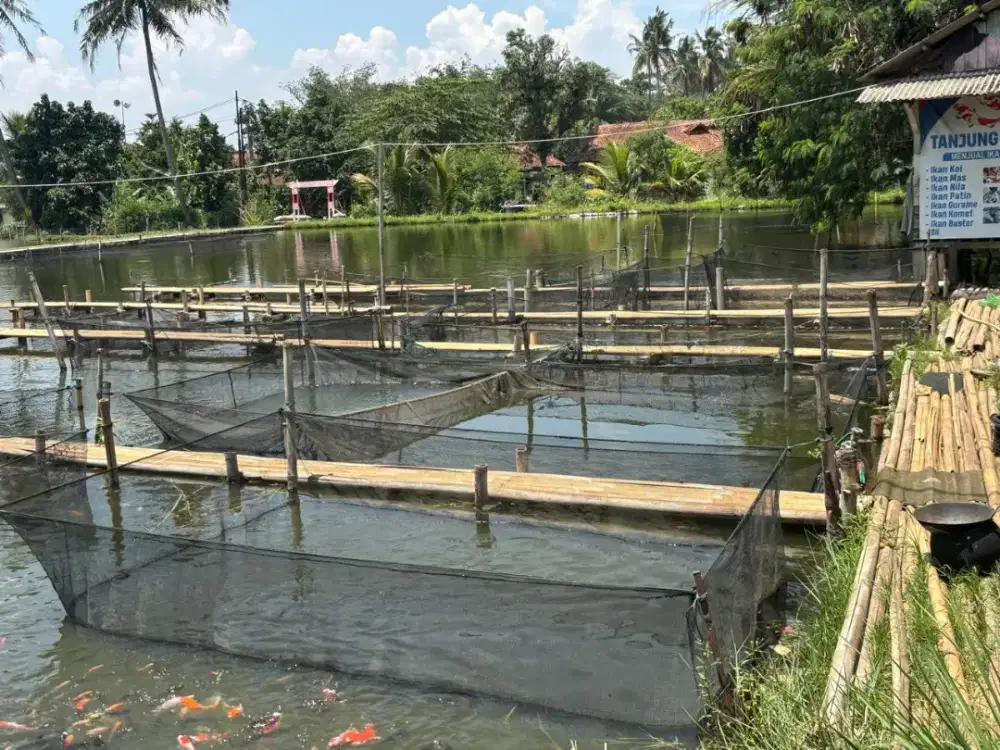 Dijual Tanah Kolam Cianjur