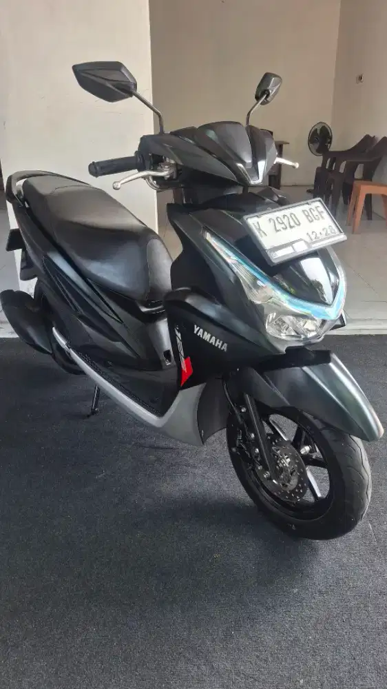 Freego Tahun 2023 Mulus