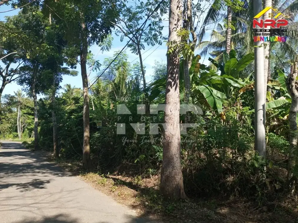 Dijual Tanah Kebun di Dekat Kantor Satpas Polresta Banyuwangi