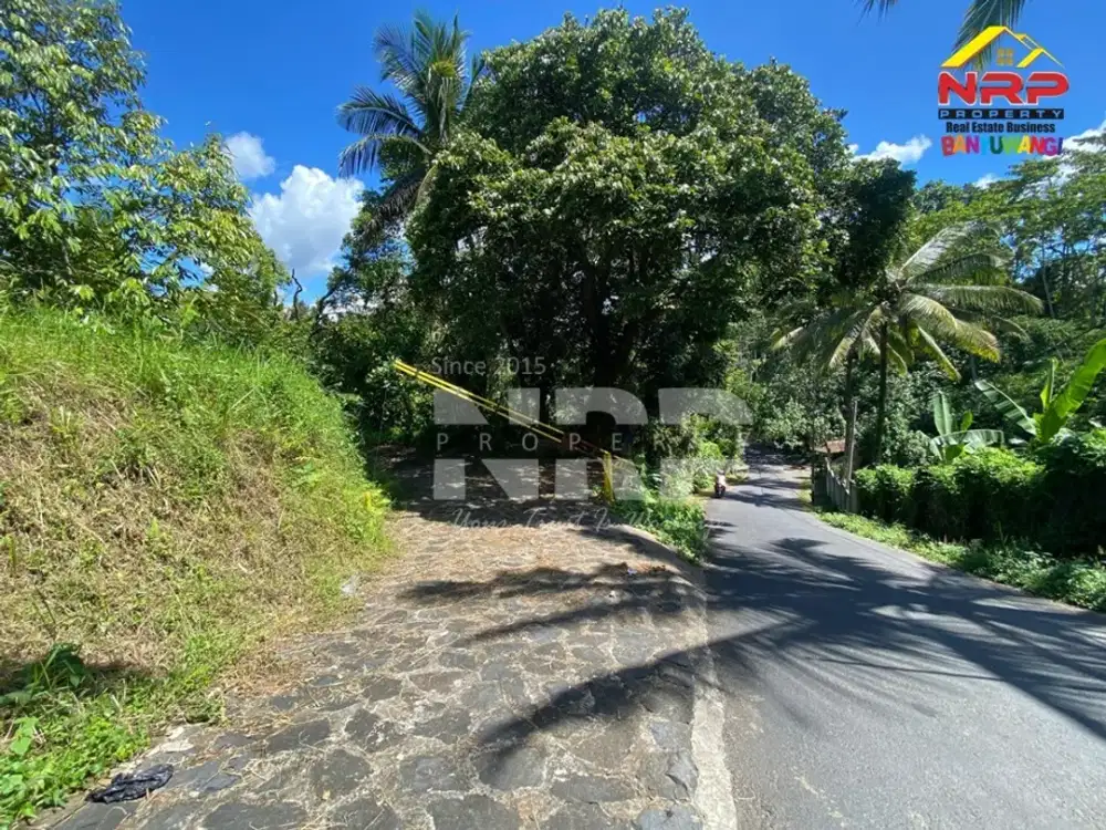 Dijual Tanah Kebun dan Sawah Luas di  Licin - Banyuwangi