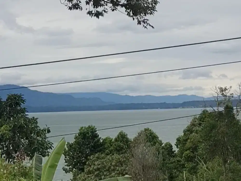 TANAH MURAH DI PINGGIR JALAN UTAMA ANTAR PROVINSI SUM SEL DAN LAMPUNG