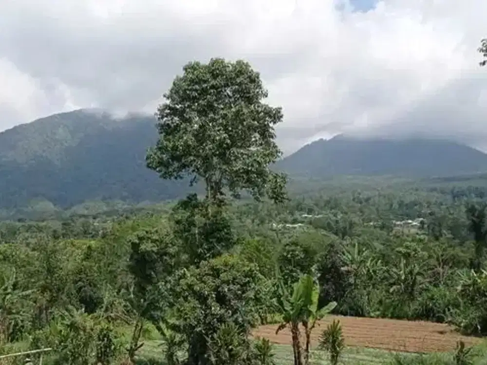 Dijual Tanah 1,6 Ha Pinggir Jalan Utama Baturiti Tabanan Bali