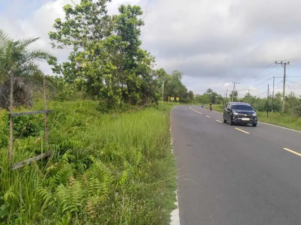 Jl. Trans dekat kameloh baru UK. 150x350 atau 5.2HA  SHM (Ahmad Dody)